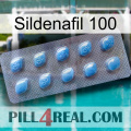 Sildenafil 100 viagra3